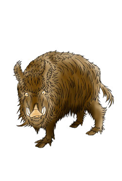 ���ʌ����̒��ł�