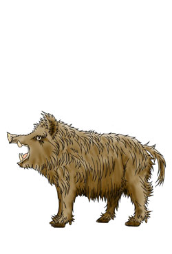 �������Ȓ�