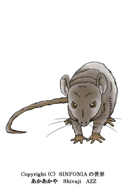 ���ʂ̃l�Y�~����ł�